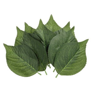 L 16 x 11 cm lHVNAWTC̗t 40 lHΉtFCN[t