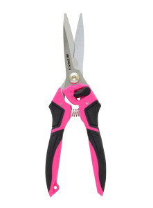 V(Takagi) \ O XeX C[Jbgt 225mm MS-225W