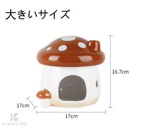 nX^[  B 2F   LmR^ nEX Z~bN STCY