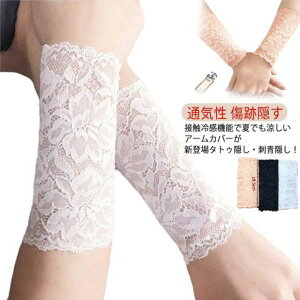  Ղ ^gD[B ՉB ̘rT|[^[ [X bVK[h 3g6Zbg F hB A[K[h V[g ڐG⊴ Ă΍ BT|[^[ ʋC Xgb` 