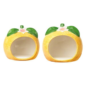 IW^̃Z~bNnX^[nEX.nX^[pB.P[WANZT[