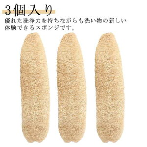 VRw`} @\ w`}X|W w`}킵 3 HuV M H Lb`pi Ȃ ꂪȂ _炩 