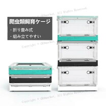 楽天市場】爬虫類用ケージ 6045の通販