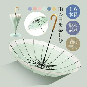 P JP fB[X P 16{ J v  킢 蕨 wlP fB[X ꂢ Z w Vv  JT