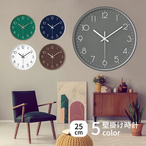 v Ǌ| Â É XC[v bj 25cm |v k A bj ₷ Ȃ 킢  n O[ lCr[ uE O[ ݌n Vv dr rO _C