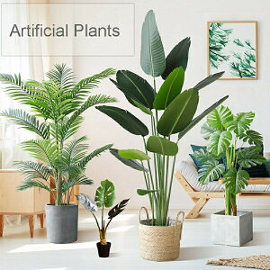 lHϗtA tFCN tFCNO[ ^  120cm 150cm 180cm  k CeA  O ItBX ݑ tFCNA sv ͂Ȃ ~͐A p Bep  A