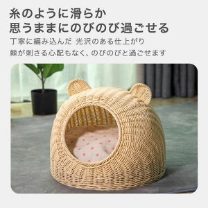 ybgxbh ^ ҂ ybgnEX S4F PPf N} 􂦂 ې   Ђ x[W sN u[ uE