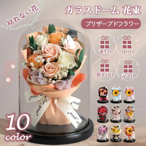 vU[uht[ KXh[ [Y  {̉ ԑ t[  ͂Ȃ a v[g zCgf[ ̓ hV̓ LO 