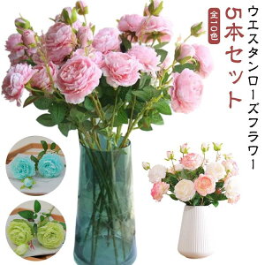 JXj  tFCNt[ y5{Zbgz Zbg ԑ EGX^[Yt[ 5{ Be  O v[g CeA a