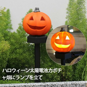 y2Zbgz K[f Cg \[[ ڂ nEB O \[[Cg K[fjO  J{` n^ C~l[V Cg  ͋C K[fCg 