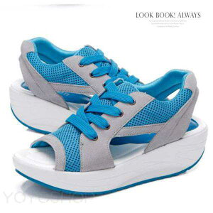 Z[ T_ X|[cT_ fB[X  Xj[J[T_ bV ʋC y JWA WMO ₷ r ʋΒʊw