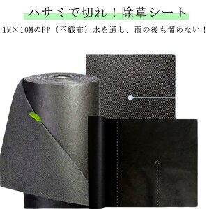 ϋv  1m×10m  G΍ hV[g G V[g sDz Gh~V[g hV[g GV[g   ʂ