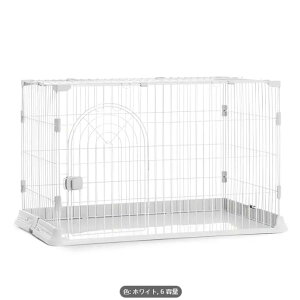 sN̑iKCeALbgB - LXƂSP[WAp[`vCGAt ƔLpN[[VXy[XbfR[eBuȔLnEX