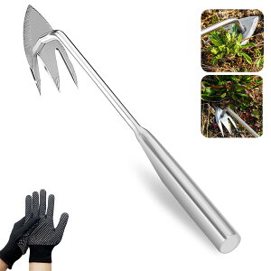 蓹y340mm XeX| z G G Ђ ނ G킵      c[ GJb^[ G Jb^[ 