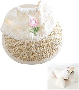  Xq ybgXq Xq   ToCU[ pXq 킢 ̌ ʋC Ăh~ MǑ΍ ybgLbv ߉\ o U r[`Xq ^ ^