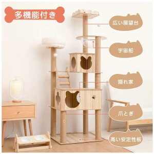 Lbg^[ Lbg^[ LbgnEX L L