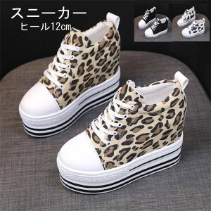 3Fׁ@fB[XXj[J[@nCq[@12cmq[@Cq[@@nCJbg@JWA@fB[X@Xj[J[@̎q@EFbW\[@C@V[Y@@t  H