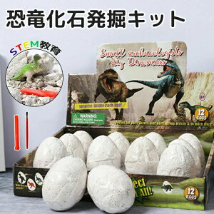   j̎q ̎q ߋ  傤イ̂܂ 12Zbg tBMA l` Δ@ mߋ w ۈ牀 ct q qǂ c LbY 2 3 4 5 6 a v[