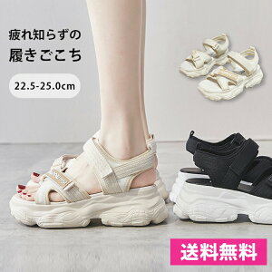 T_ fB[X  fB[X y ₷ X|[cT_ _bhV[Y X|T 22.5`25.5cm bNXQ fB[X ₷ r[`Xbp rC