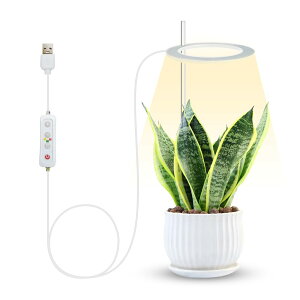 A琬Cg LED A琬 tXyNgCg 琬Cg  ȃGl USBd ^C}[ti8H / 12H / 16H)360° ^C~O 莞@\ |pi p ͔|pCg ACg