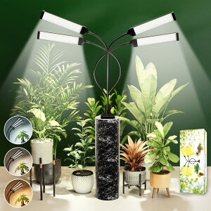 A琬Cg LED Nbv 4H/8H/12H 3Fxؑ 10iK 3_[h 琬Cg USBd 莞@\ A 4wbht 360°߉\ LED ƕs ͔|v  ȃGl A