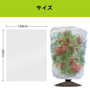 hlbg 悯lbg Ahlbg AیJo[ ؖ bVВ hlbg Aی ؖ  悯 悯 h h h ΍ DIY  ؉v