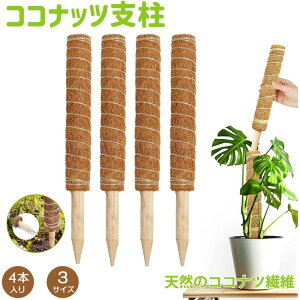 RRXeBbN 4_Zbg Xex ϗtA x |x A K[fjOp Ԃ RRibcx AT|[g 鐫A g}g |gX |p |xp[c 