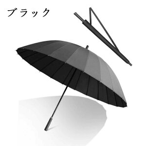 P Y  JP rbOTCY 傫P rWlX P ܂Ȃ IV 蓮P amP 24{  킢