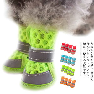 yz₷ ~ \bNX C ʋCQ bV Ȃ ی  L hbOV[Y ^ ^ C