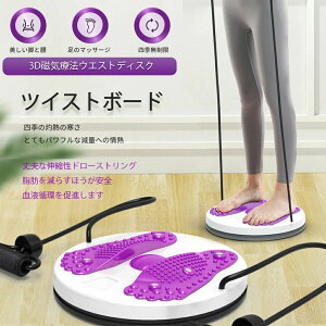 ツイストボード ダイエット バランス ねじり運動 体幹 回転軸 トレーニング ヒップアップ 器具 ウエストダイエット お腹 ツイスターボード エクササイズ ウエストツイスト スピンボード ス