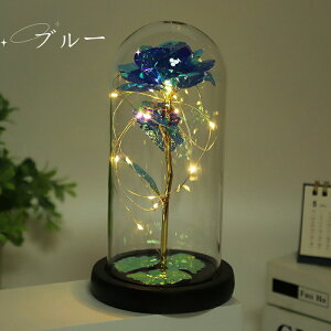 ͂Ȃ o LEDCg dr 24KS[h[Y KN ԑ t[Cg t[Mtg o^Cf[ J[ u[ bh a ̓ LO NX}X j v