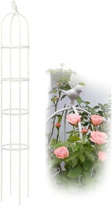 ~jIxXN gX ȒPg R\   K[fjOpx |x op  ACr[ N}`X [Y KN  eX p[S  ͔| AT|[