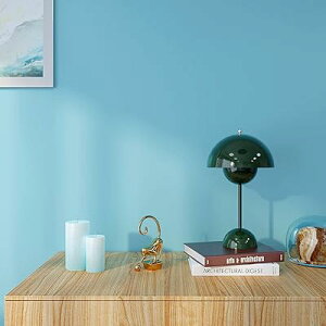 ǎV[ ǎ n XJCu[ 40cmx2m CNV[g CeA JbeBOV[g ͂ǎ \₷ ̂t EH[XebJ[  h h C tH[ 