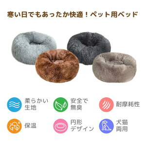 ybgxbh ӂӂ  ~ ybgpi L xbh  lR ˂ Ck