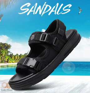 X|[cT_ Y fB[X T_ r[`T_ AEghA Lv  y ₷ _炩 񂾂  lC  傫TCY RtH[gT