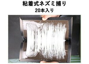 SlY~߂ vV[gA 1i20j ϐV[g S lY~ގ