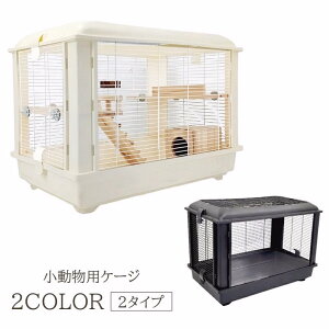 pP[W ybgpi ybgP[W nX^[ P[W ETM e bg  NA ʋC   LX ^ 傫 Vv  킢