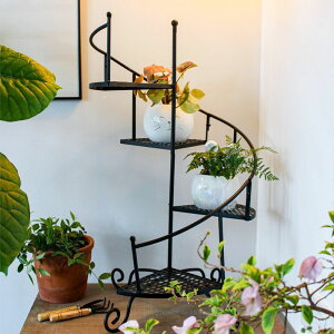 ˊO̒S̏̎̃Vvȑ΂̃[̐Aؔ̒Iw̉]Aؔ̑i̒Ił