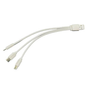 USB����3��Type-C�[�d�P�[�u���ւ̕ϊ�3-in-1 Type-C�f�[�^�P�[�u��PVC�o�b�e���[ ���`�E���C�I���o�b�e���[ USB�[�d�P�[�u��