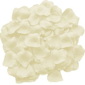 Ԃт 2000Zbg t[V[ KN ỏԂт [Y  v|[Y   EGfBO 2 a j NX}X p[eB[p  Be o lC (