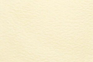 `LEO[eBOX/vCXJ[hM oj 100/PM-02y01zy01z bsOpi A bZ[WJ[h O[eBOJ[h