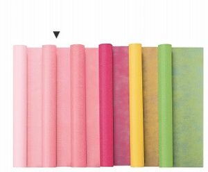 H|/n[@65cm×L20m@sN/160-4023-2y01z bsOpi A bsOy[p[() sDz