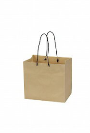 ペーパーバッグ　BS/162-68729-0【01】【取寄】[10枚] ラッピング用品 、梱包資材 ラッピング袋・プレゼント袋 手提げ紙袋