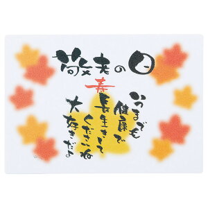 zr[/bZ[WJ[hihVj/GM-4727y01z[10] bsOpi A bZ[WJ[h O[eBOJ[h