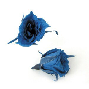 yvU[uhzt[Go[/}CN[Y 20 Ou[/FL060-12y01z vU[uht[ vU[uht[ԍ oi[Yj