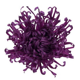 楽天市場 アナスタシア 花 ガーデン Diy の通販