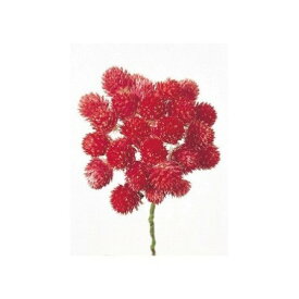 【ドライ】大地農園/ストロベリーフィールズ　25本　N/32170-000【01】 ドライフラワー ドライフラワー花材 センニチコウ（千日紅）