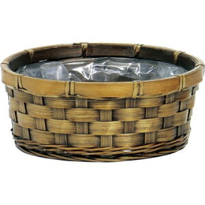 SG Wonder zone/ЍLou[ۃAW@L/203-204y07z[10] ԊA[X ԂEt[oXPbg ̑ Ԃ