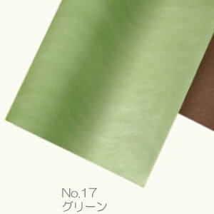 Gracias/sDzy[p[@i No.17@O[@/12017y01z bsOpi A bsOy[p[() sDz