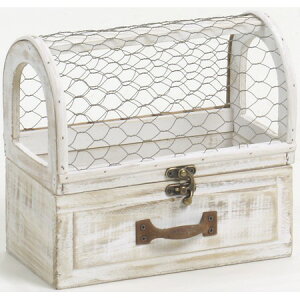 SG Wonder zone/ؐ{bNX/739-007y07z K[fjOE|pi K[ft@j`[EƋ ؔ(Ebh{bNX)